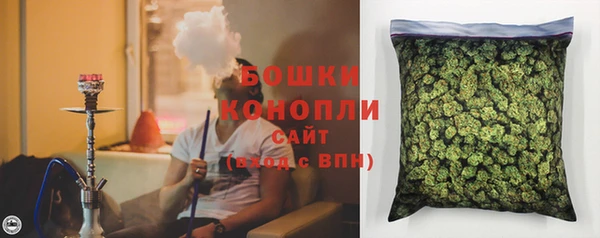 ПСИЛОЦИБИНОВЫЕ ГРИБЫ Гусиноозёрск