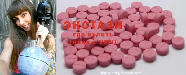 крисы Тайга