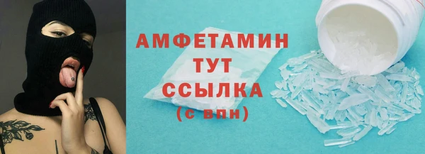 твердый Гусь-Хрустальный