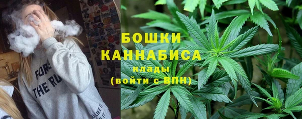 твердый Гусь-Хрустальный
