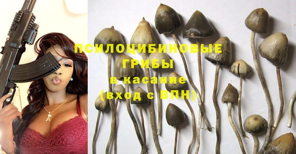 твердый Гусь-Хрустальный