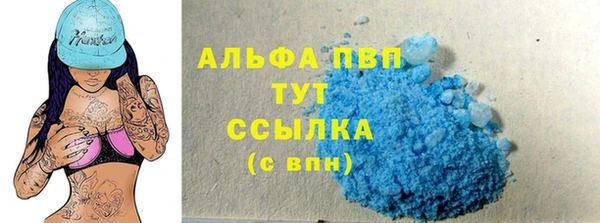 ПСИЛОЦИБИНОВЫЕ ГРИБЫ Гусиноозёрск