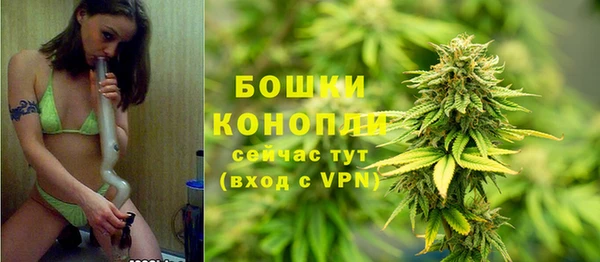 ПСИЛОЦИБИНОВЫЕ ГРИБЫ Гусиноозёрск